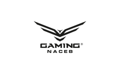 GAMING NACEB